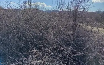 Auction image Земеделска земя/имот, ферма, парник/оранжерия