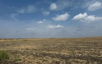 Auction image Земеделска земя/имот, ферма, парник/оранжерия