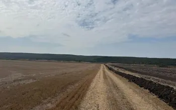 Auction image Земеделска земя/имот, ферма, парник/оранжерия