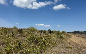 Auction image Земеделска земя/имот, ферма, парник/оранжерия