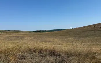 Auction image Земеделска земя/имот, ферма, парник/оранжерия