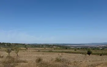 Auction image Земеделска земя/имот, ферма, парник/оранжерия