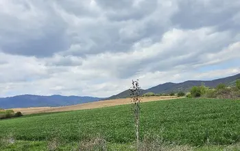 Auction image Земеделска земя/имот, ферма, парник/оранжерия