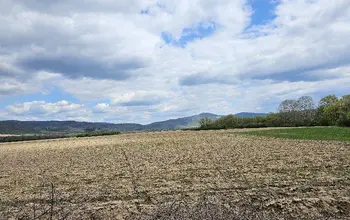 Auction image Земеделска земя/имот, ферма, парник/оранжерия