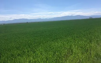 Auction image Farmland