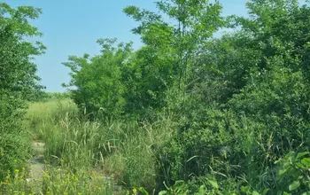 Auction image Land for building