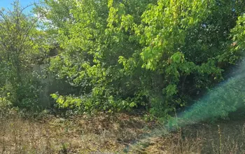 Auction image Land for building