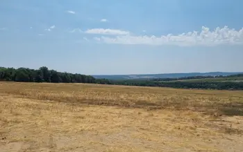 Auction image Farmland