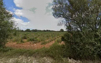Auction image Rural property