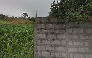 Auction image Rural property
