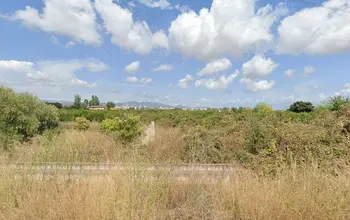 Rural property