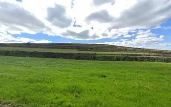 Auction image Rural property