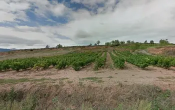 Auction image Rural property