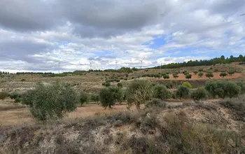 Auction image Rural property
