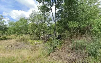 Auction image Rural property