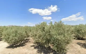 Auction image Land