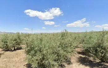 Auction image Land