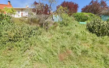 Auction image Residential