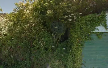 Auction image Residential