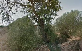 Auction image Rural property